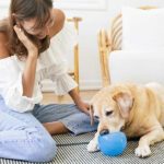 top 4 ways to exercise your dog inside the house